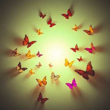 Light To My World
