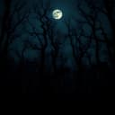 Im Herzen der Dunkelheit