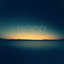 Echoes in the Shade of Forever