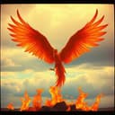 I am the Phoenix