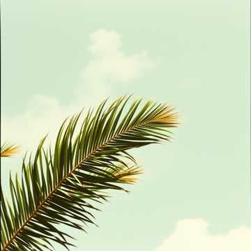 Jah Mon, I'm Freeing