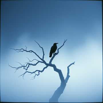 The Whisper of Helheim