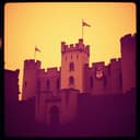 Puppet Strings Unraveling