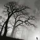 Whispers of the Reaper