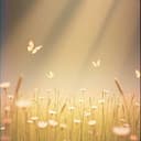 A World Without Flies