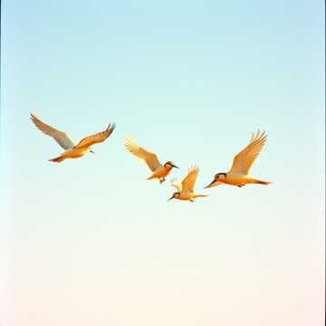 Juntos com a Maribel 