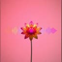 Emoção a flor da pele