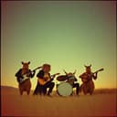 Dundee und die Metzgerbande