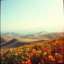 Candeleda, Tierra Alegre