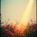 “Gracias a Ti, Mamá”