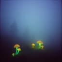 Shadows in the Static