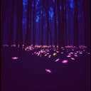 Emoção ao sentir algo novo