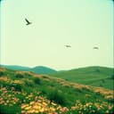 Known and Adored Forever