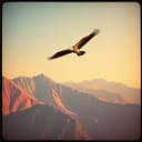 Uvumilivu na Tabasamu la Kimungu