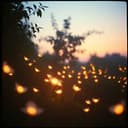 Long after this life 