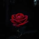 The velvet tongue of hell