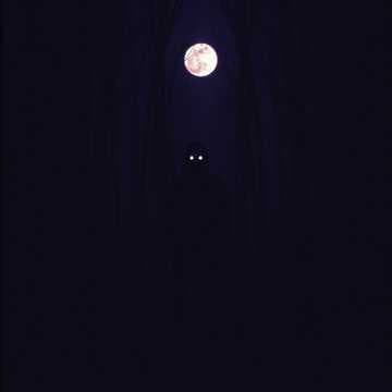 Midnight Man's Dark Seduction