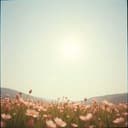 웃자 (Let's Smile)