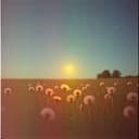 Somewhere in the static 