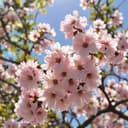 Моя Котя 🙂