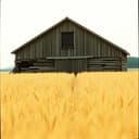 The One-Eyed Troublemaker