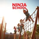 Ninja Flow