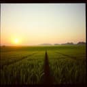 나의 소중한 전원생활