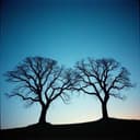 Seventeen to Twenty-Four