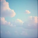 Whispers in the Morning Dew