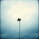 March of the Silent Flag