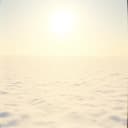 Fly High