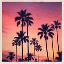 Como quieres ser mi amiga