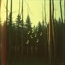 Symphony of Whispers