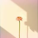 Mamo, wróć do mnie