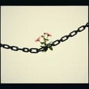 مصر ام الدنيا