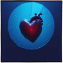 Mein herz es schmerzt 