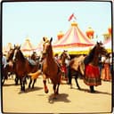 Santiago apóstol el santo patrón de los caballos