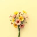 مريم نور الفرح