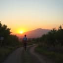 Riding Out the Storm