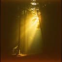 Deus você é minha luz