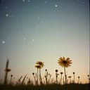 Deus continua a falar