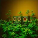 La Historia de Josema y Cristhian