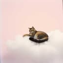 Girls Love Mary Jane