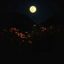 ਸੱਚੀ ਮੁਹੱਬਤ