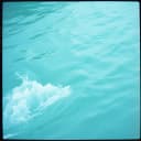 Rivers