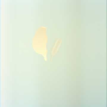 Das Licht 