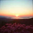 وانا ودينا بقينا لبعض