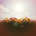 تسنيم صوت الطفولة