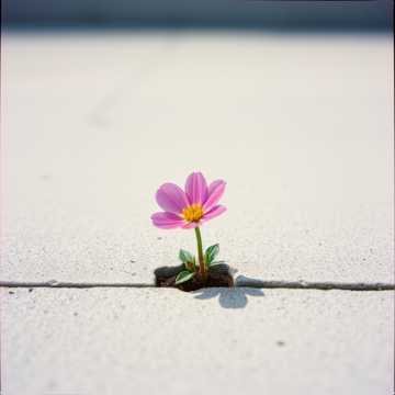 Small But Mighty
