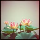 Nam‑myoho-renge-kyo